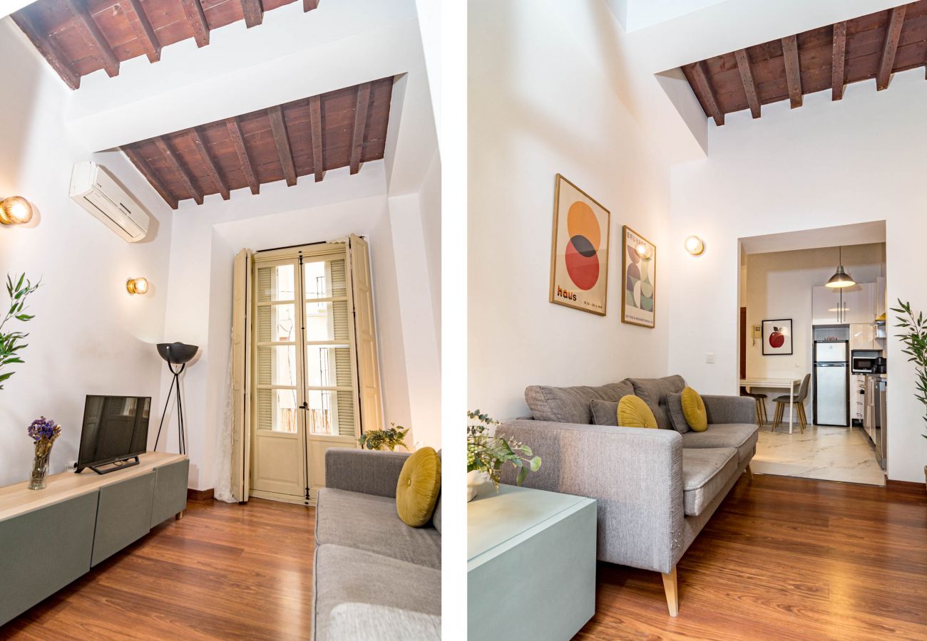 Apartment in Málaga - CO-cozy city apartment in Malaga Old town